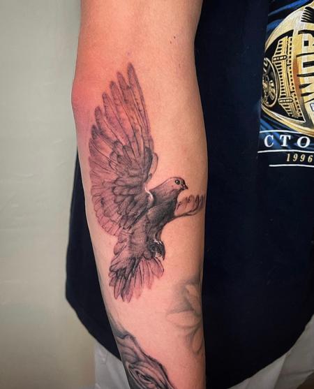 tattoos/ - Black and Grey Dove - 145410
